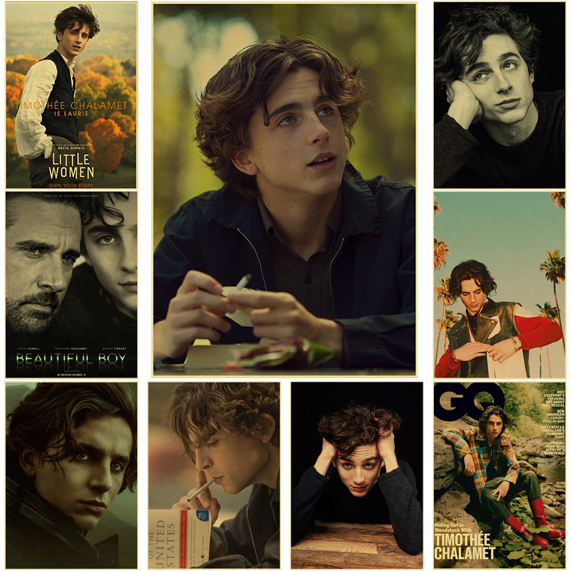 Timothee Chalamet Retro Tela P - Home Bar And Theater recensione e prezzo