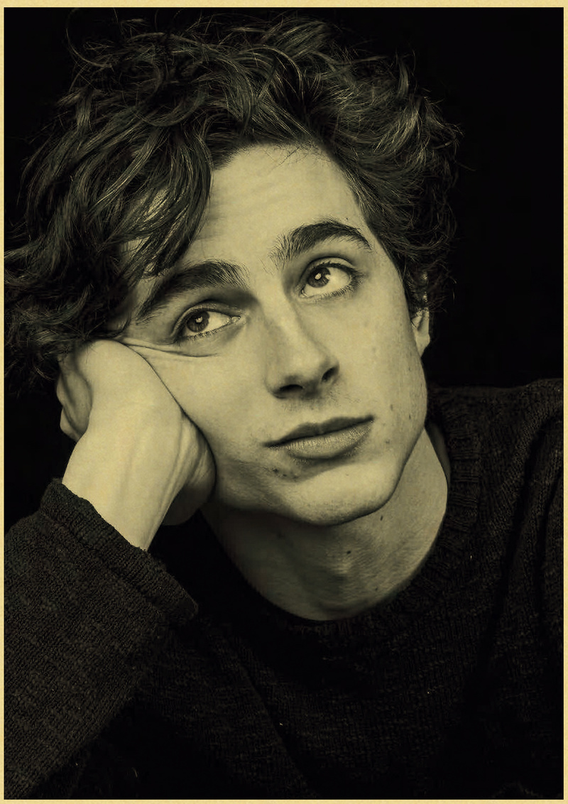 Timothee Chalamet Retro Tela P - Home Bar And Theater recensione e prezzo